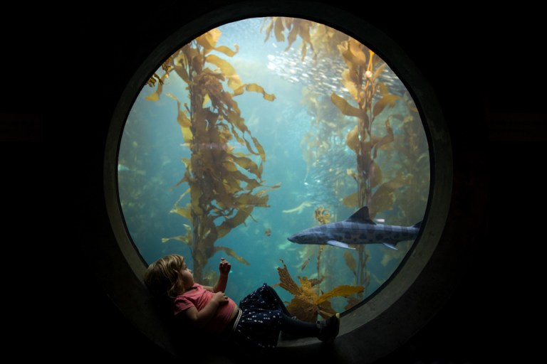 20161008-img_3327-copy